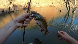 Lake Oroville Low water levels and sediment layers at Nelson Bar & Vinton Gulch. w/ surprise catch!