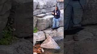 🐟 Epic Salmon Run in Pulaski NY! 🎣
