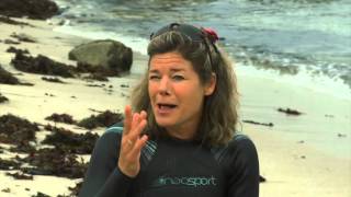 Ask Tierney - Why do fish follow big ocean animals?