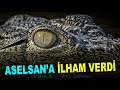 TİMSAH ASELSAN ile TSK hizmetinde -  TİMSAH Thermal Weapon Scope - Savunma Sanayi - ASELS - Türkiye