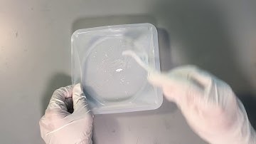 Microfluidics 101: How to Make PDMS