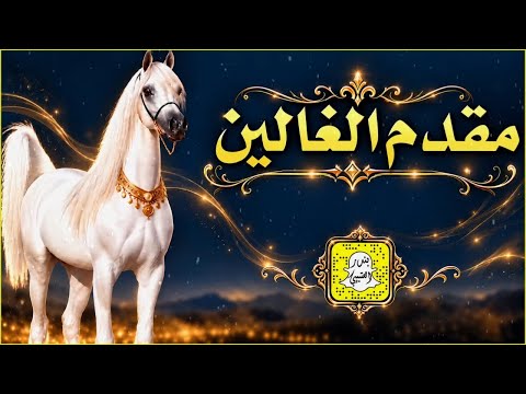 مقدم الغالين كلمات مرزوق الروقي اداء ماجد الرحيمي 2026 حصرياً