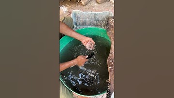 How Cosmetic Cream Jars Are Washed and Reused!