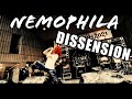 NEMOPHILA / DISSENSION [Official Live Video]