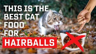 Best Cat Food For Hairballs (Ultimate Solution) by Oh My Cat 1,070 views 1 year ago 1 minute, 49 seconds