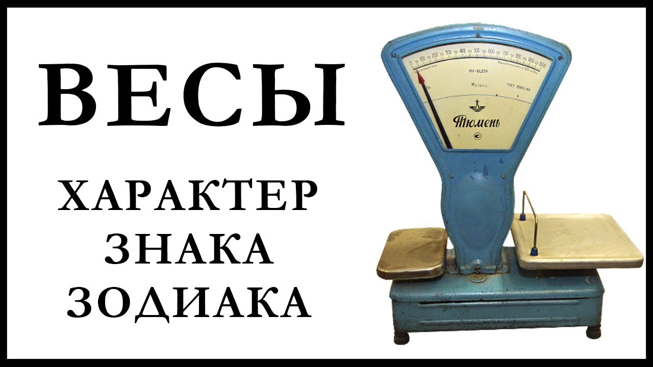 Богдан весы характеристика