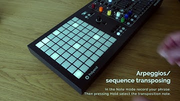 Medusa Synth - Arpeggios / Sequence transposition