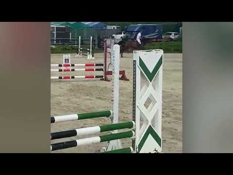 Lot 67 Cavan Sales 30 9 2025