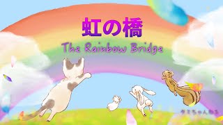 虹の橋　猫