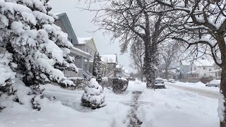 Winter Snow Walk in Buffalo NY 🇺🇸 Exploring Buffalo after Heavy Winter Storm