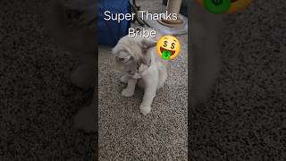 YOU CHOOSE A NAME!!!