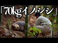 70kgの猪。生捕りして即スライスして食う。