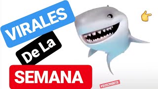 VIDEOS VIRALES de facebook MAS RECIENTES septiembre #1 virales de la semana 2019