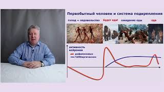 Ожирение. Почему не работают диеты?! Ожирение. Почему не работают диеты?!
