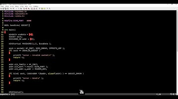 [Network] Winsock Network Programming using C/C++ : UDP echo server
