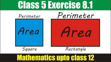 Class 5 | Exercise 8.1 | English , Urdu , हिन्दी