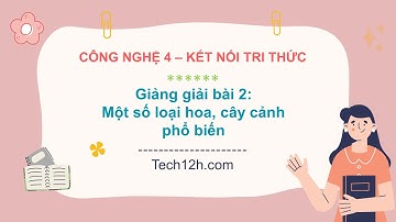 Giảng bài 2: Một số loại hoa, cây cảnh phổ biến | Bài giảng công nghệ 4 kết nối tri thức