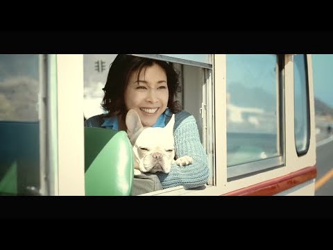 【日本CM】日劇連發竹內結子代言相機和草彅剛的小狗共演