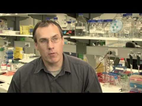 What are induced pluripotent stem cells? - Dr Andr...