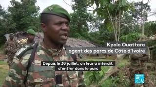 CÔTE D'IVOIRE - Des agriculteurs illégaux expulsés des forêts