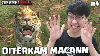 Tiba2 Diterkam Macan & Ketemu Buaya - Green Hell [SUB INDO] #4 screenshot 4