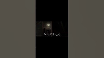 ما تيسر من سورة الجاثية ، للقارئ: ياسر الدوسري