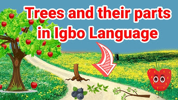 Tree in Igbo Language | Learn Parts of Tree in Igbo Language | Igbo Language| @ness-anatv