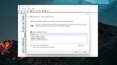 Touchpad Settings Missing in Windows 11 [Solution]