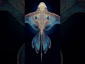These Deep Sea Creatures Are Beautiful but Deadly 🐠 #shorts #ocean #deepocean #creatures #danger #12