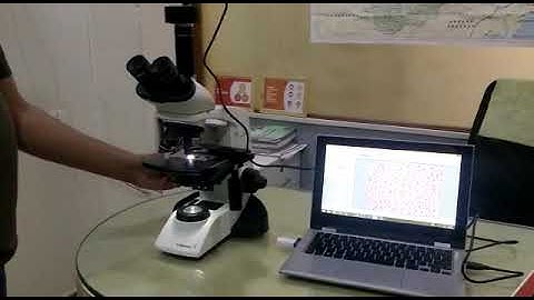 Trinocular Microscope - Description [on Sale]