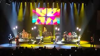 UB40 a rat in the kitchen