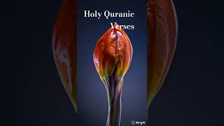 #DailySparkleShorts#Holy#Quran#Verse#Translation#English and Urdu