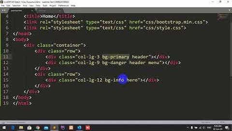 Web Design & Development Class Of LEDP (Day 9 Video)