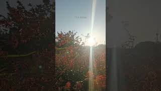 Sebab Kau Terlalu Indah Dari Sekedar Kata  cinta ldr love rindu