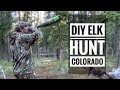 DIY PUBLIC LAND Elk Hunt Colorado S9 #37