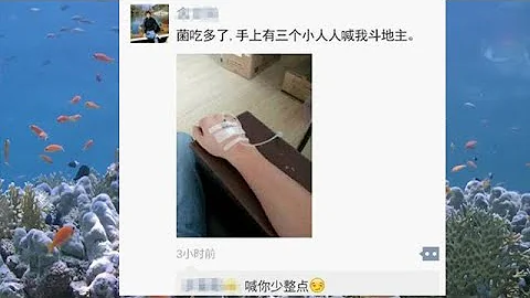 雲南人吃蘑菇中毒的搞笑場面 - 天天要聞