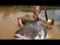 Giant catfish mekong river thailand  fish monster hunting