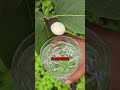 РџРѕС РµРјСѓ СЌС Рѕ СЂР СЃС РµРЅРёРµ РІСЃРїС С РёРІР РµС РѕС СЃРїРёС РєРё рџЊ рџ Ґ РџРѕС РµРјСѓ СЌС Рѕ СЂР СЃС РµРЅРёРµ РІСЃРїС С РёРІР РµС РѕС СЃРїРёС РєРё рџЊ рџ Ґ