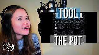 Finnish Vocal Coach Reacts: TOOL- The Pot (CC)