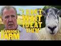 Jeremy Clarkson's Love/Hate Relationship With His Sheep | Clarkson's Farm