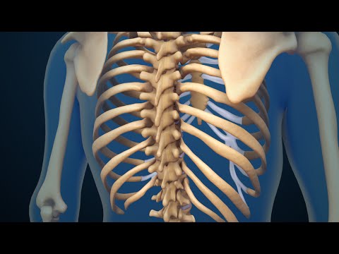 how to treat herniated discs and sciatica. 