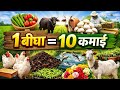 सिर्फ 1 बीघा जमीन🌱 से 10 कमाई के तरीके 💰Kisan ke liye 10 Profitable Farming Ideas✅ Farming Business🌱