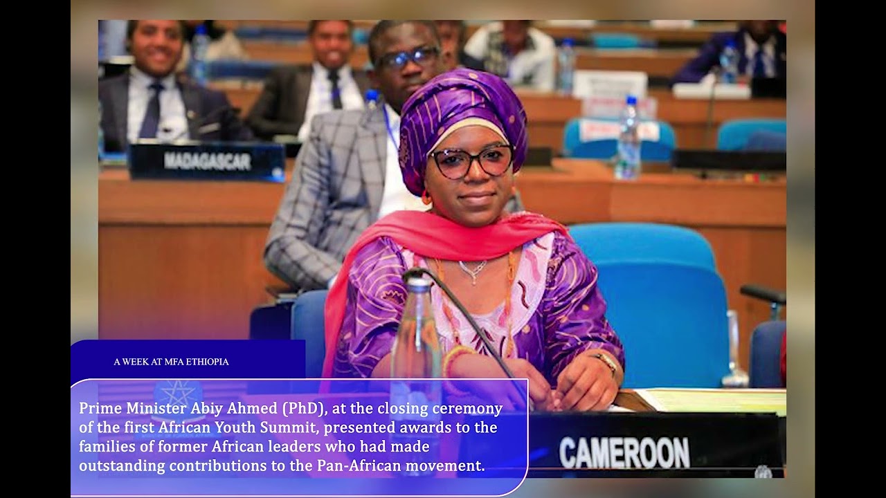 Weekly Recap: MFA Ethiopia November  04 2022