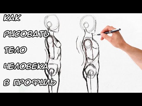 Видео: Как да нарисувате профил