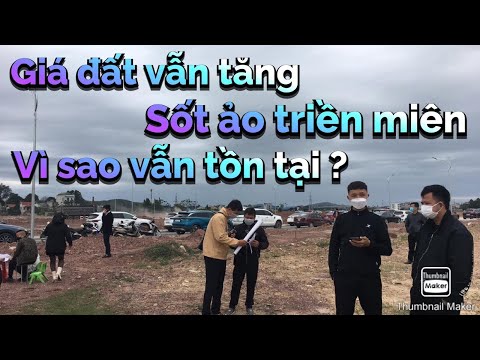 Giá bất động sản tăng cao sốt ảo – Vì sao điều vô lý luôn tồn tại