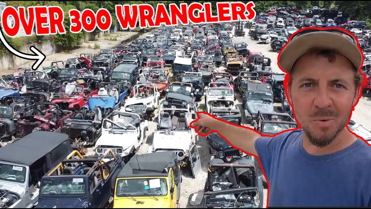 Exploring the Biggest Jeep Wrangler Collection Ever Found??
