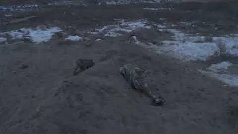15 coyotes out of 18 traps. Carlis Stephens