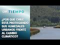 Chile y sus casi 40 mil humedales: Así avanza el plan para proteger los ecosistemas
