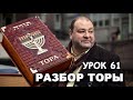 Разбор Торы. Урок 61.  (Числа) 1:1 - 4:20, Бамидбар.