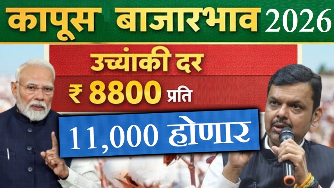कापूस बाजारात भाव 8800 धडाकेबाज वाढ! | today cotton rate 2026 | cotton market batmi maharashtra